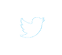 Twitter Logo